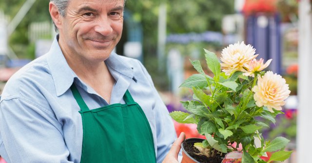 Ein etwa fünfzigjähriger Mann steht draußen in einem Park, und hält einen Blumentopf mit Blume.
